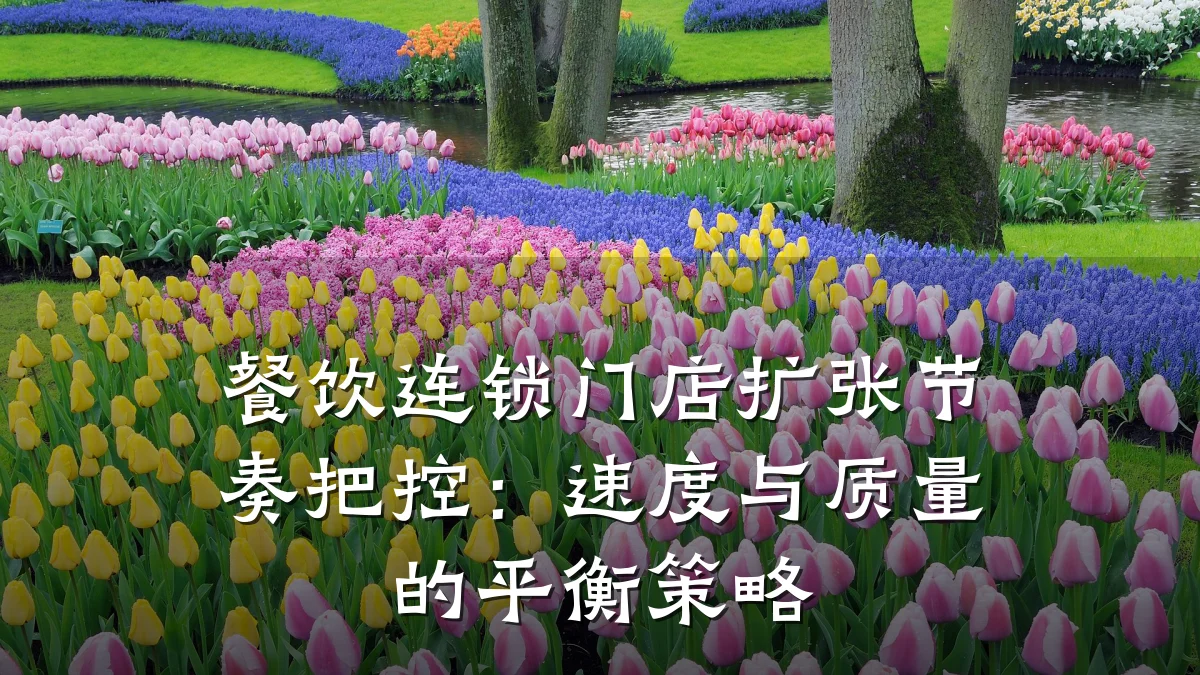 餐饮连锁门店扩张节奏把控：速度与质量的平衡策略
