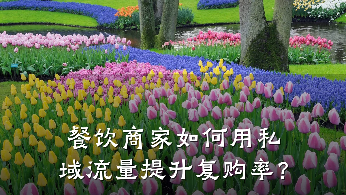 餐饮商家如何用私域流量提升复购率？