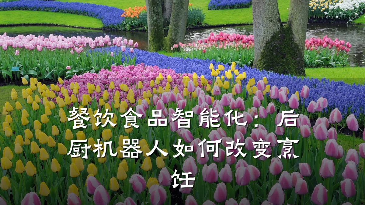餐饮食品智能化:后厨机器人如何改变烹饪