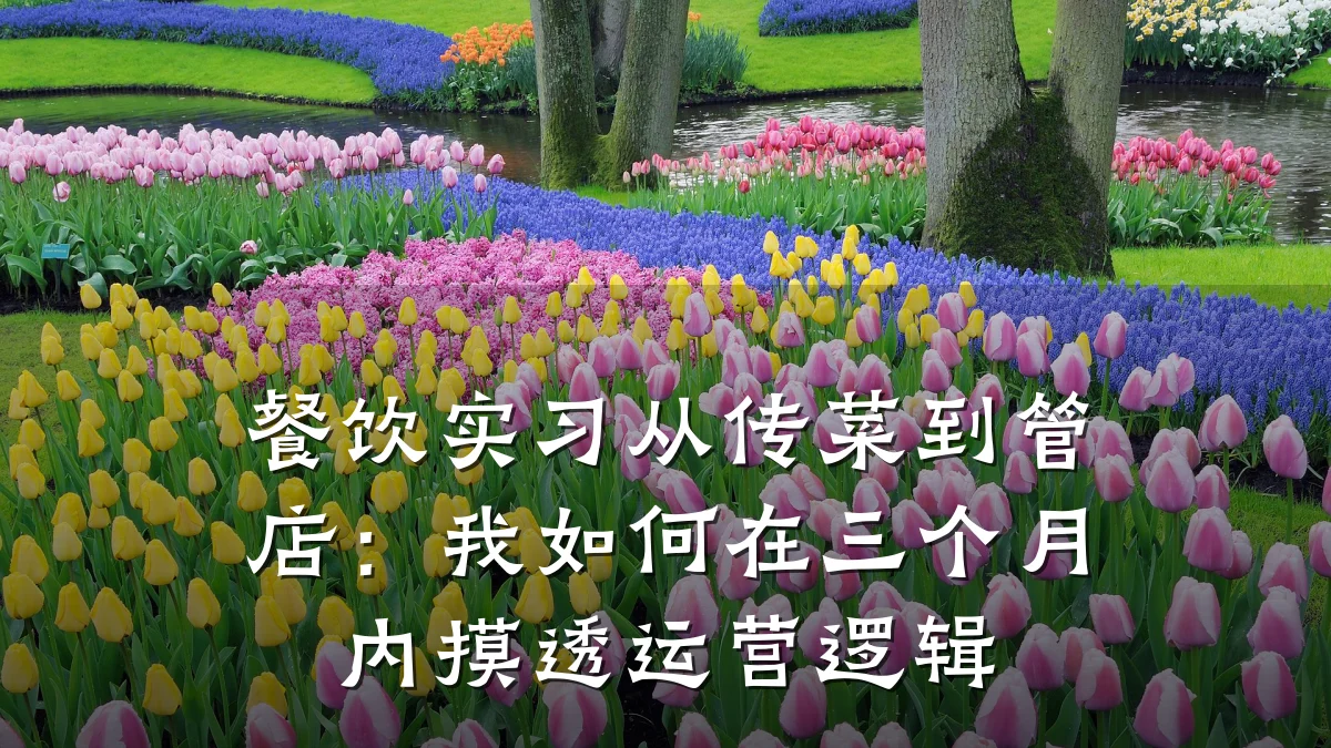 餐饮实习从传菜到管店：我如何在三个月内摸透运营逻辑