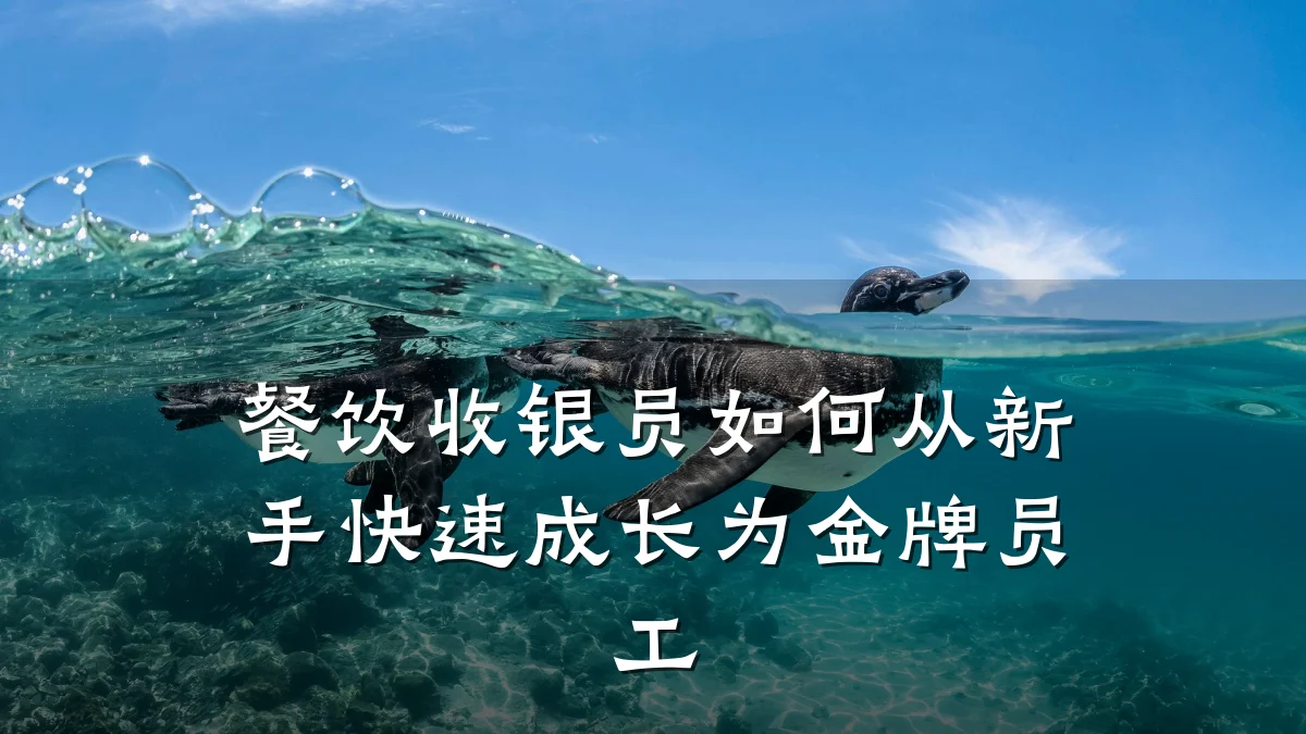 餐饮收银员如何从新手快速成长为金牌员工