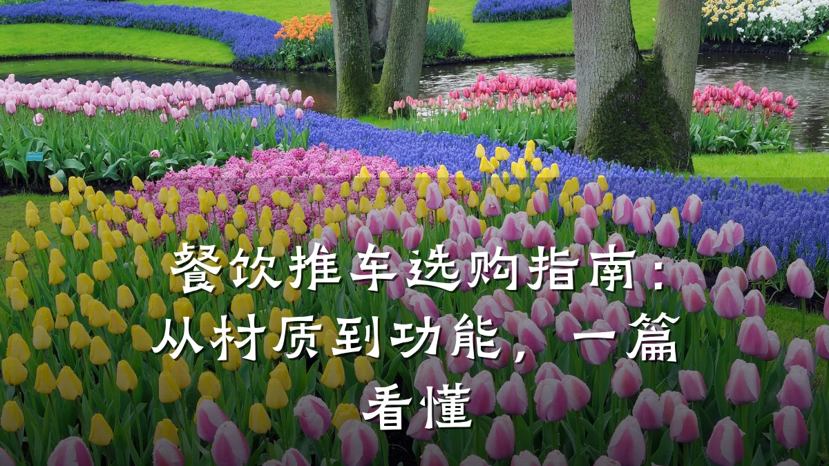 餐饮推车选购指南:从材质到功能,一篇看懂