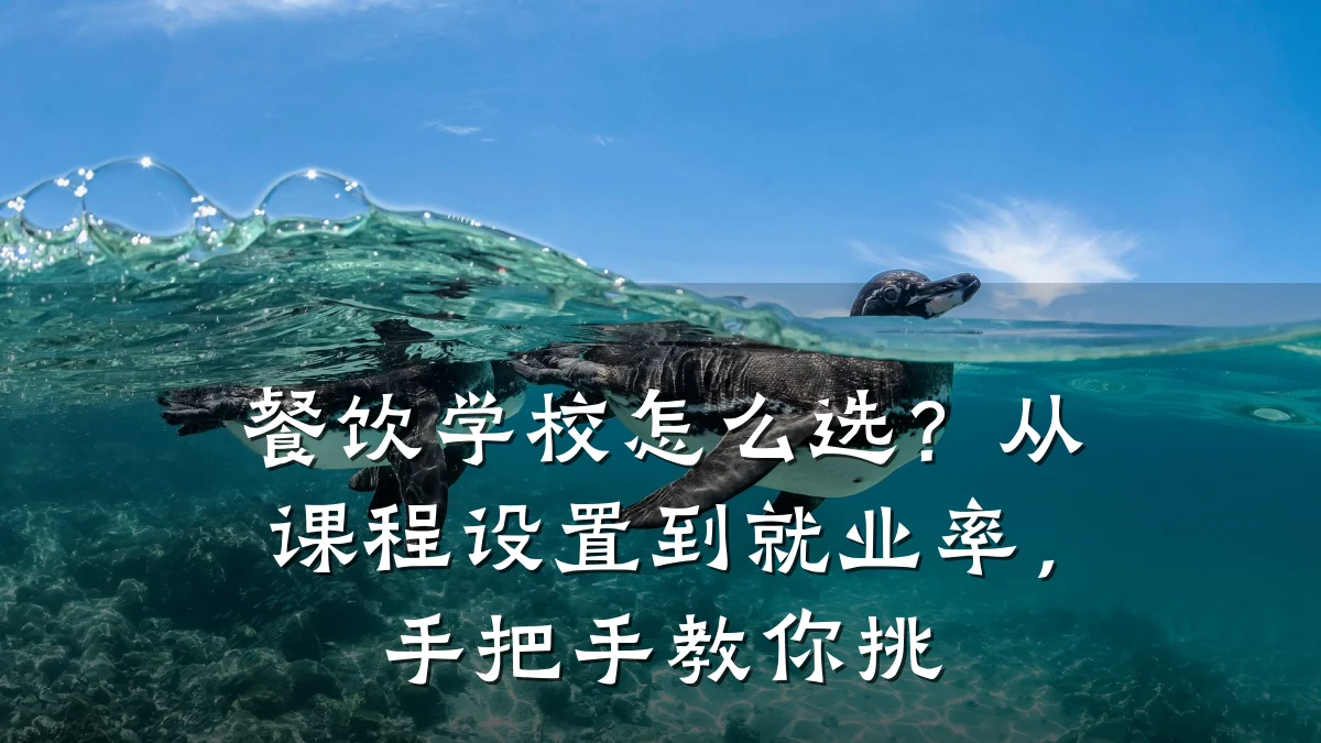 餐饮学校怎么选？从课程设置到就业率，手把手教你挑