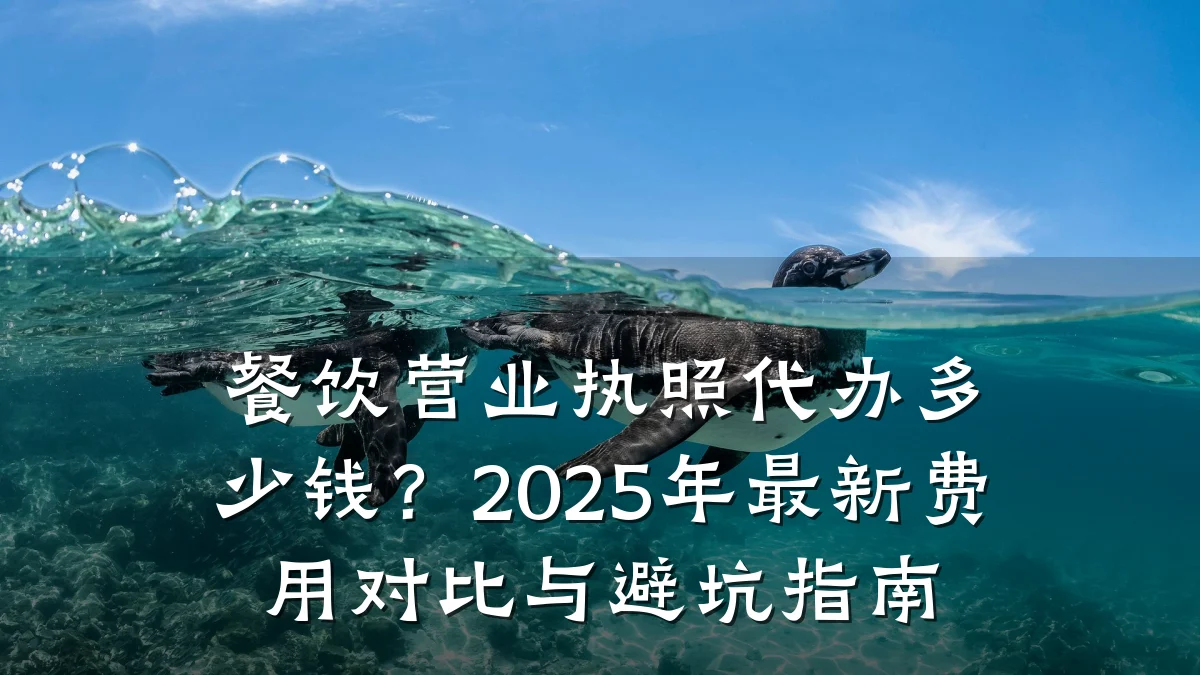餐饮营业执照代办多少钱？2025年最新费用对比与避坑指南