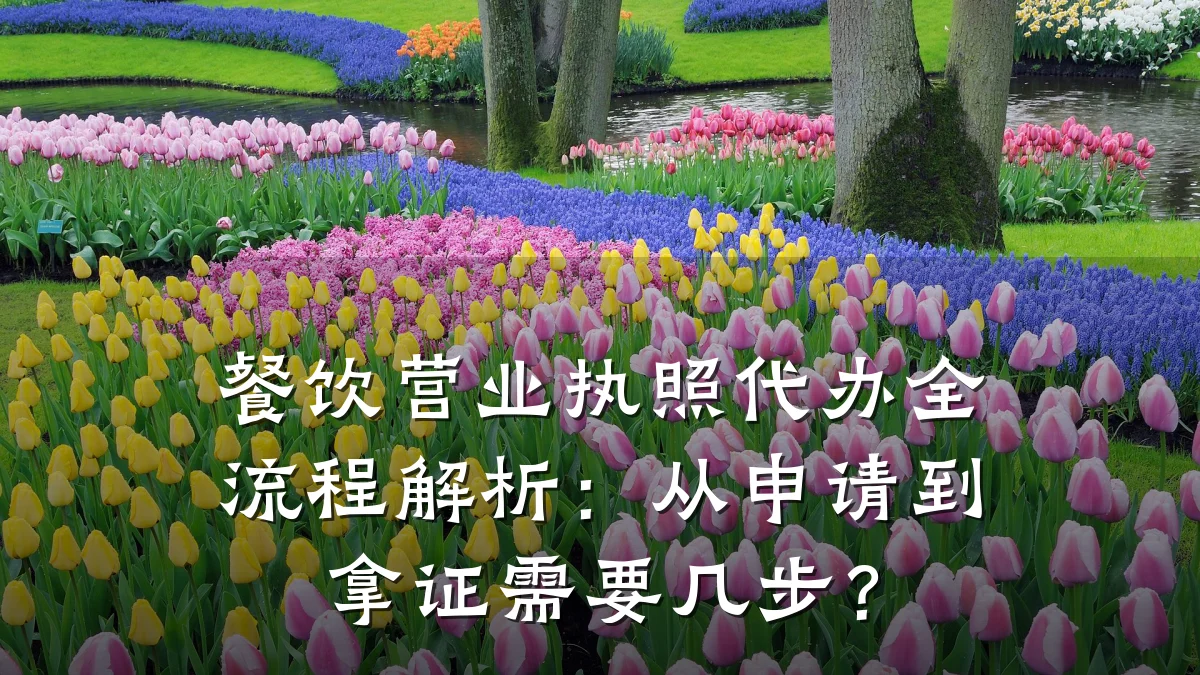 餐饮营业执照代办全流程解析：从申请到拿证需要几步？