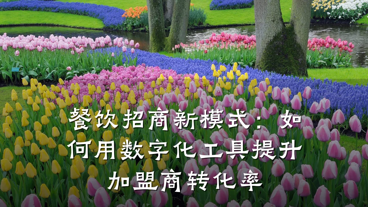 餐饮招商新模式：如何用数字化工具提升加盟商转化率