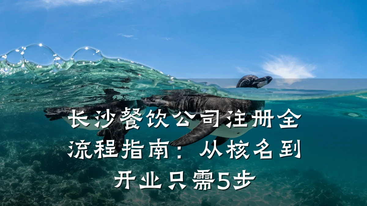 长沙餐饮公司注册全流程指南：从核名到开业只需5步