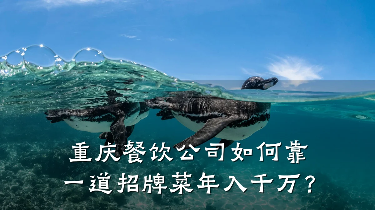 重庆餐饮公司如何靠一道招牌菜年入千万？