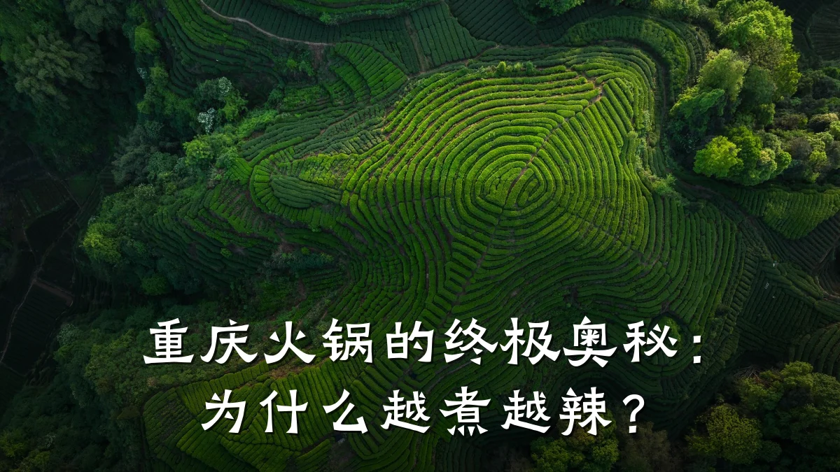 重庆火锅的终极奥秘：为什么越煮越辣？