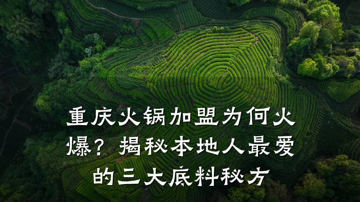 重庆火锅加盟为何火爆?揭秘本地人最爱的三大底料秘方