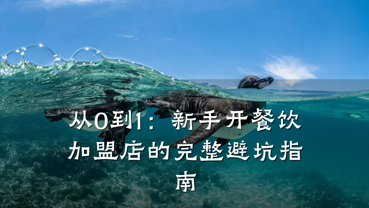 从0到1:新手开餐饮加盟店的完整避坑指南