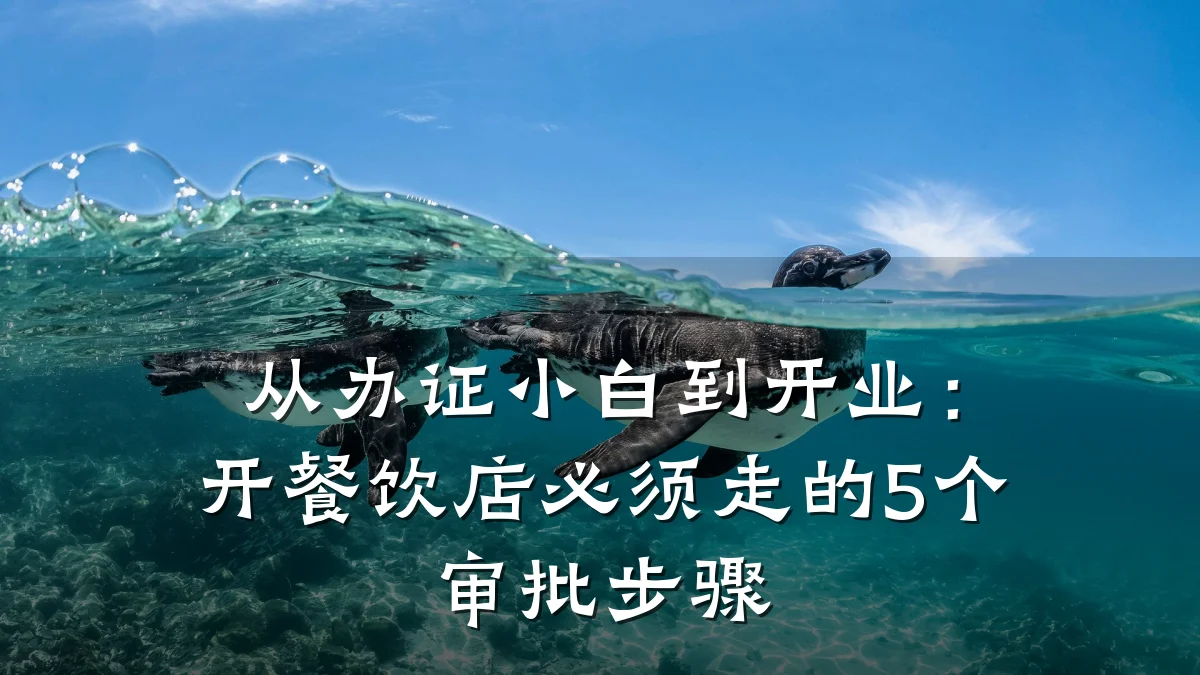 从办证小白到开业：开餐饮店必须走的5个审批步骤