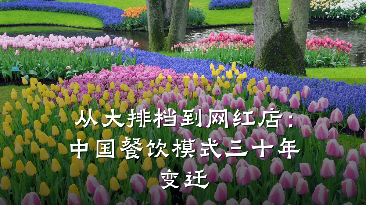 从大排档到网红店：中国餐饮模式三十年变迁