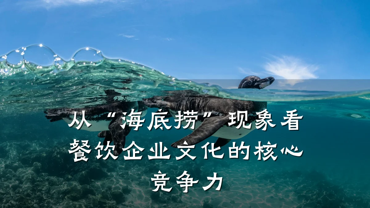 从“海底捞”现象看餐饮企业文化的核心竞争力