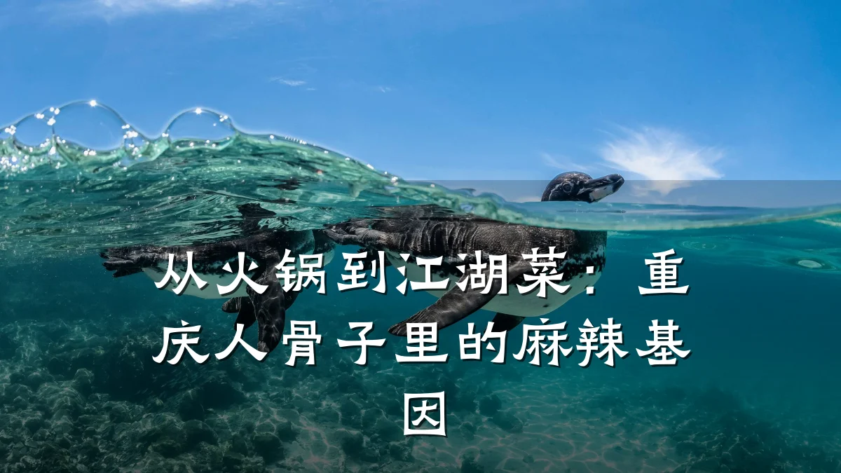 从火锅到江湖菜：重庆人骨子里的麻辣基因