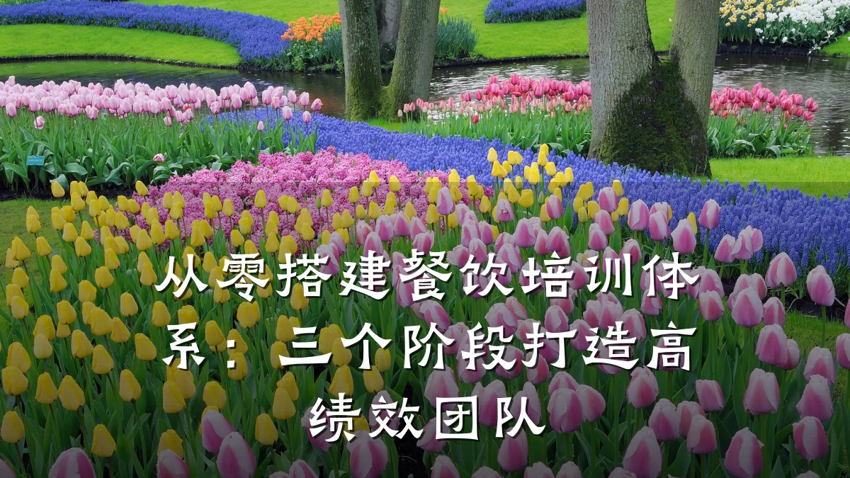 从零搭建餐饮培训体系:三个阶段打造高绩效团队