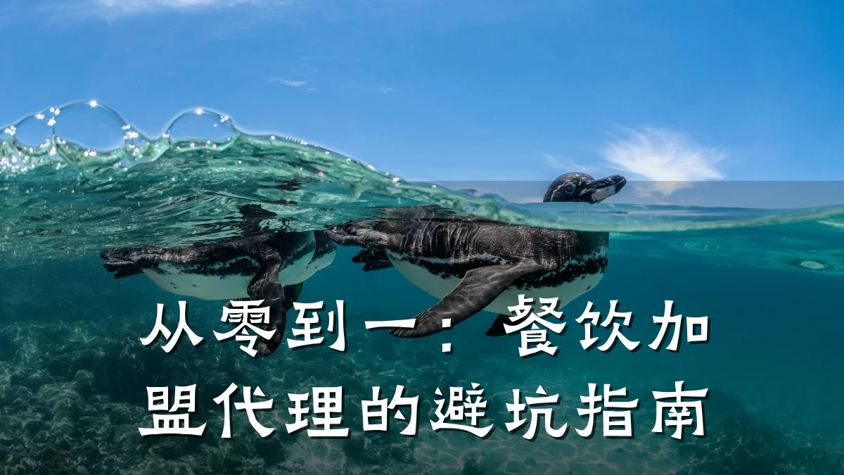 从零到一：餐饮加盟代理的避坑指南