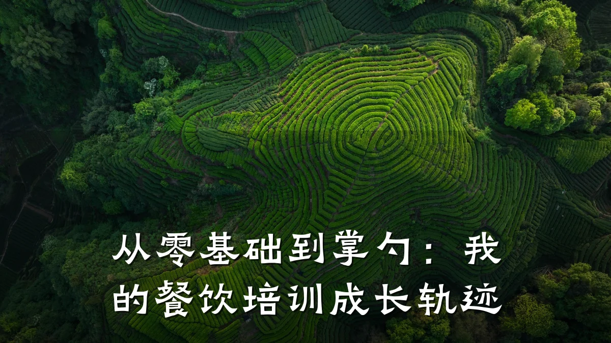 从零基础到掌勺：我的餐饮培训成长轨迹