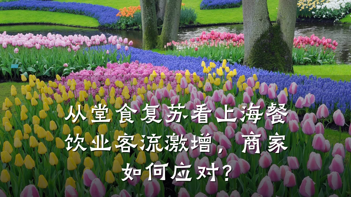 从堂食复苏看上海餐饮业客流激增,商家如何应对?
