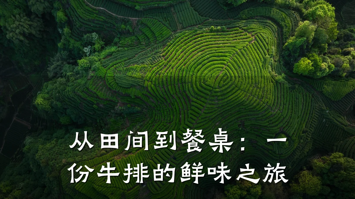 从田间到餐桌：一份牛排的鲜味之旅
