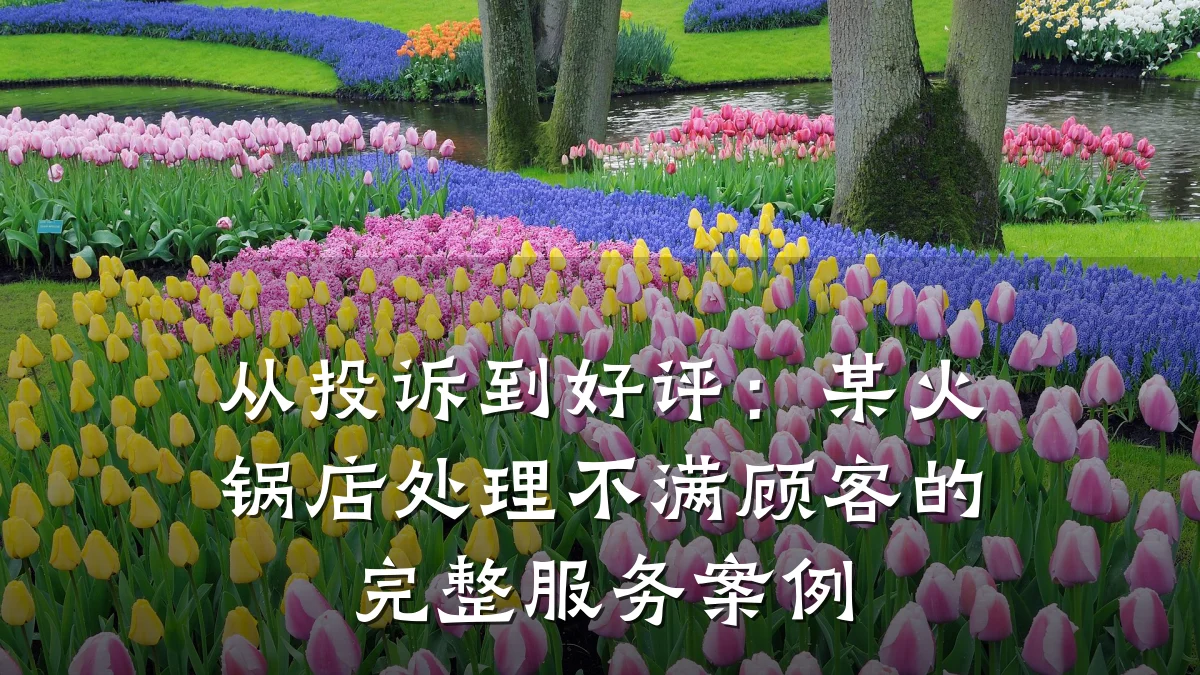 从投诉到好评:某火锅店处理不满顾客的完整服务案例