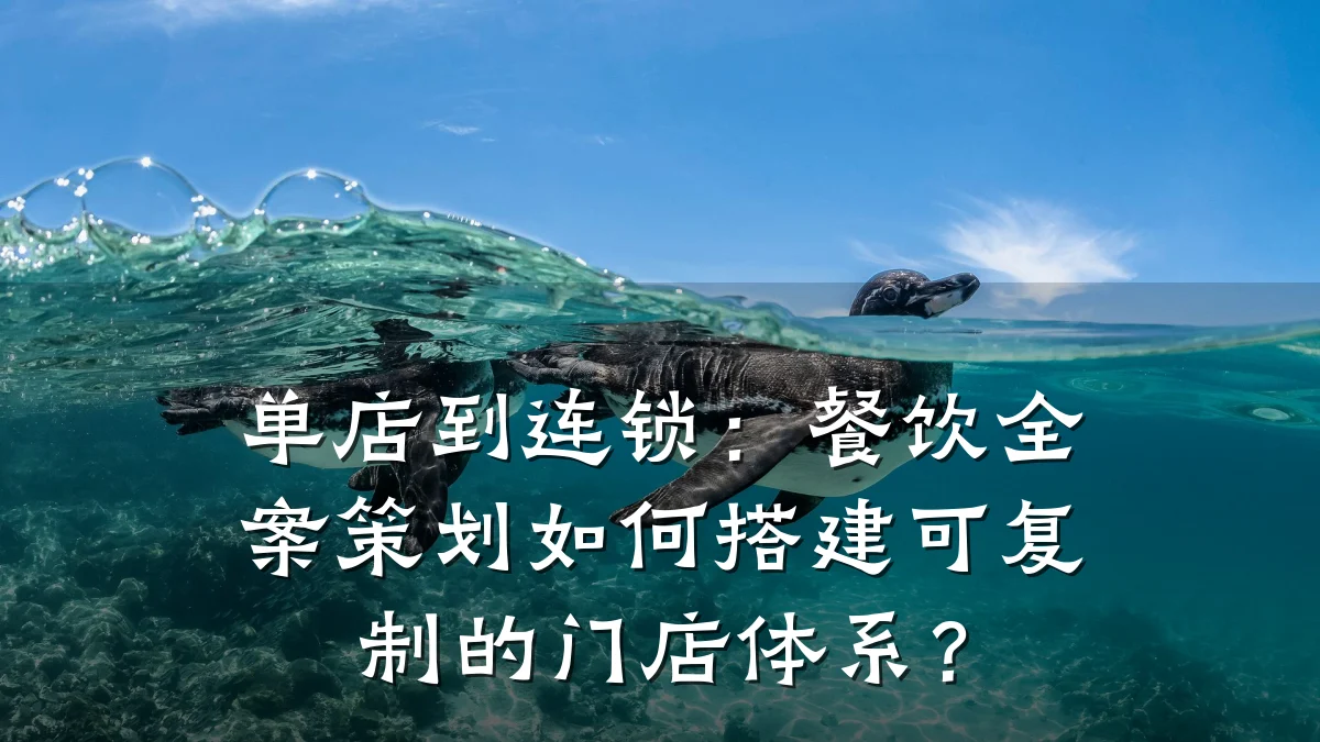 单店到连锁：餐饮全案策划如何搭建可复制的门店体系？