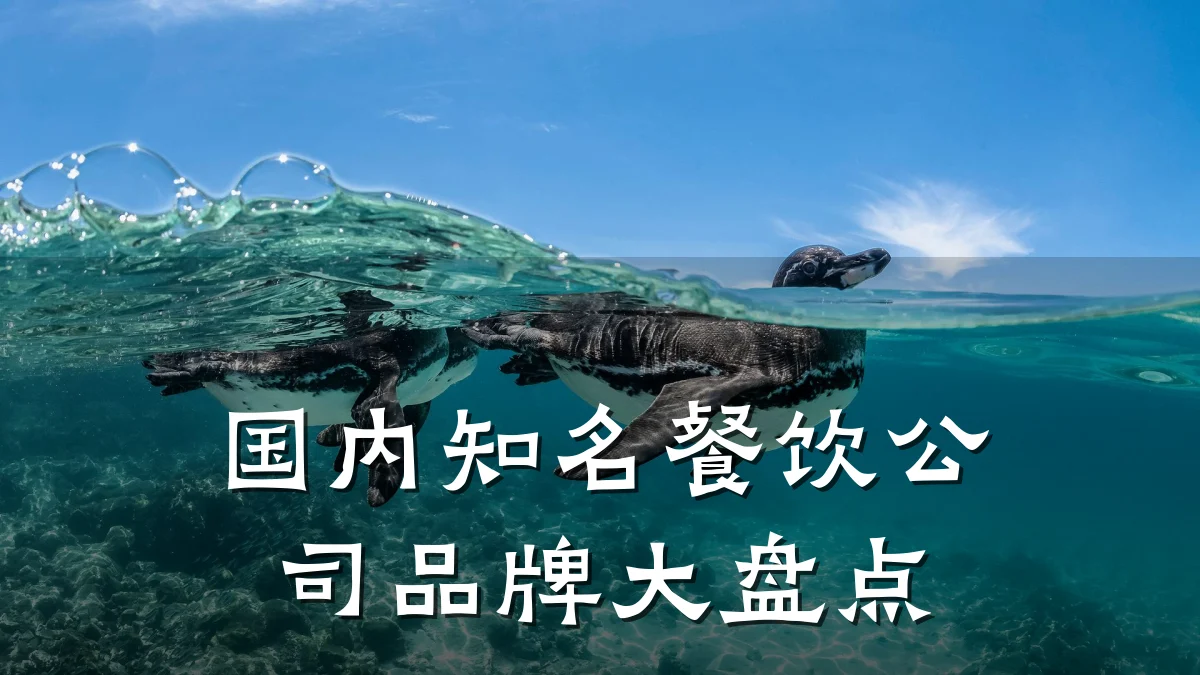 国内知名餐饮公司品牌大盘点
