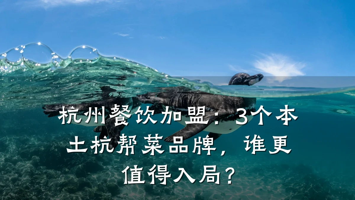 杭州餐饮加盟:3个本土杭帮菜品牌,谁更值得入局?
