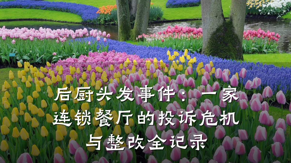 后厨头发事件：一家连锁餐厅的投诉危机与整改全记录