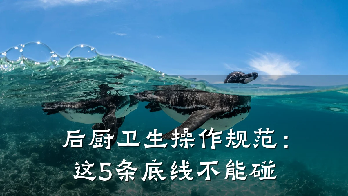 后厨卫生操作规范：这5条底线不能碰
