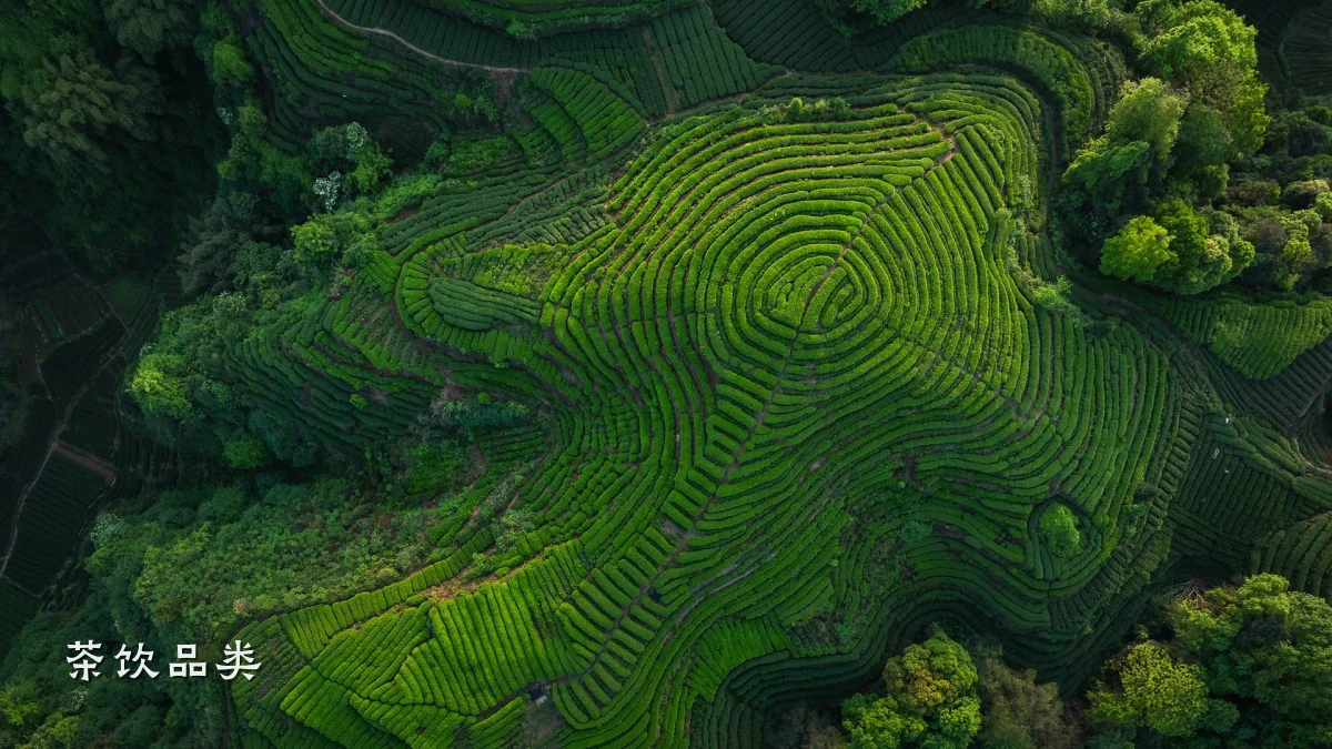 茶饮品类