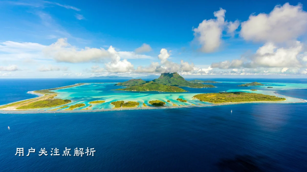 用户关注点解析