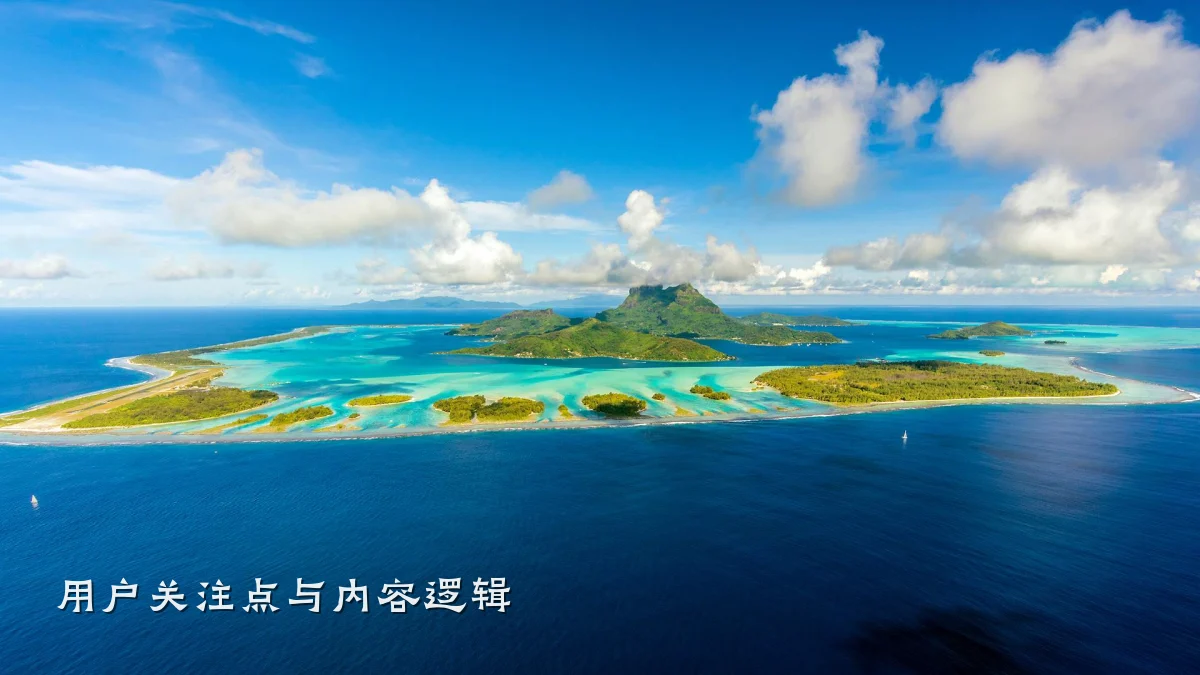 用户关注点与内容逻辑