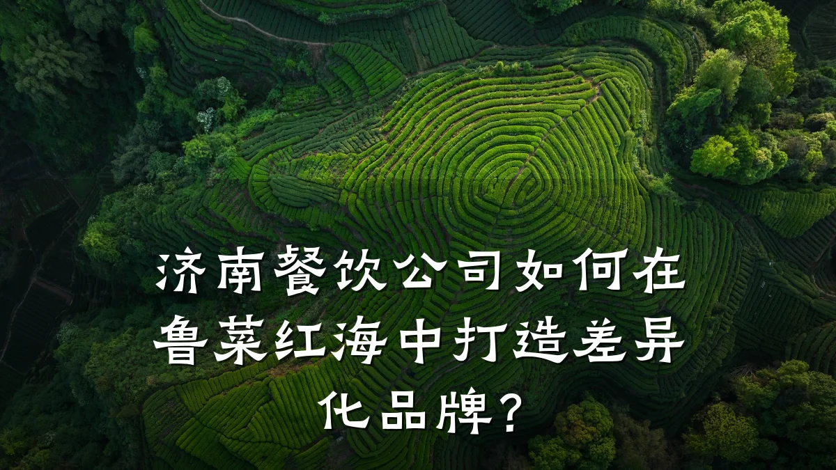 济南餐饮公司如何在鲁菜红海中打造差异化品牌?