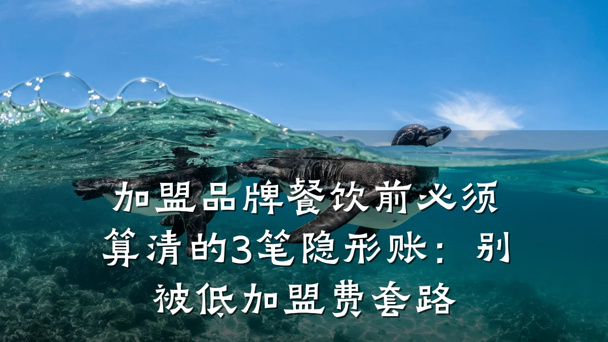 加盟品牌餐饮前必须算清的3笔隐形账：别被低加盟费套路
