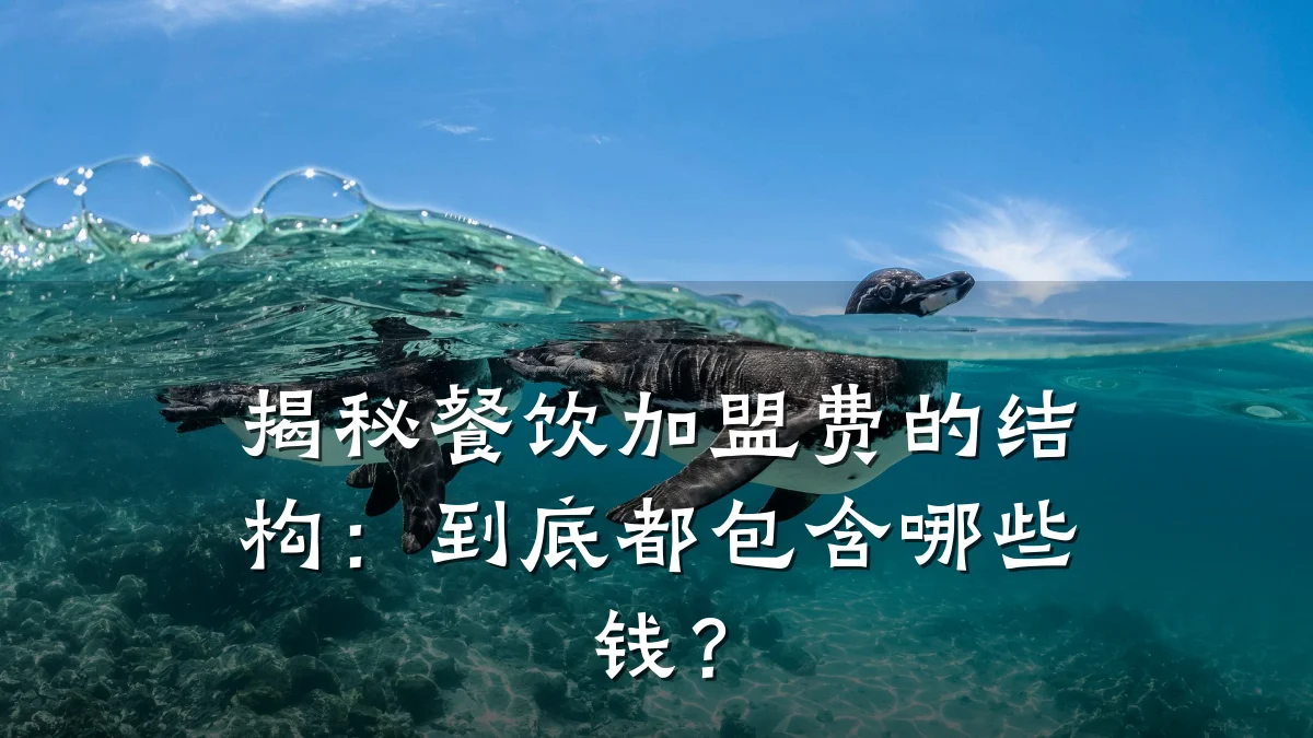 揭秘餐饮加盟费的结构：到底都包含哪些钱？