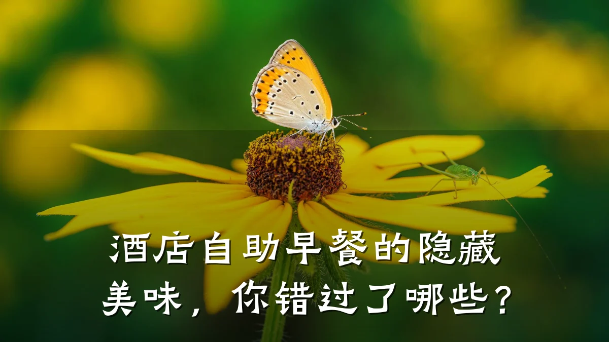 酒店自助早餐的隐藏美味，你错过了哪些？