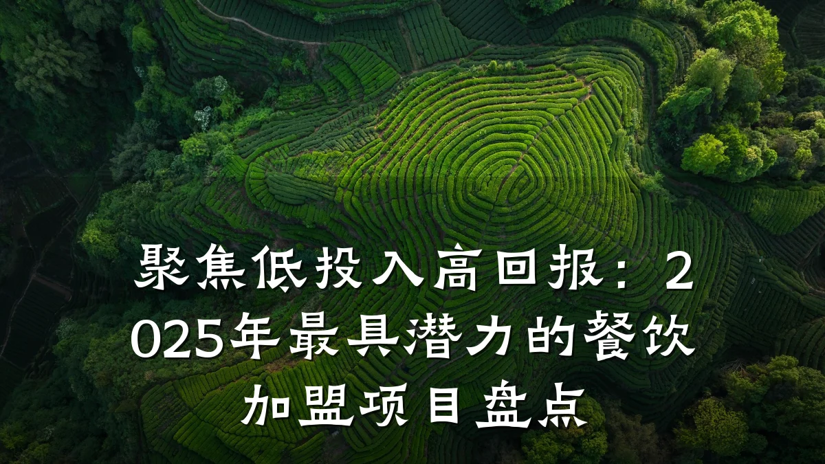 聚焦低投入高回报：2025年最具潜力的餐饮加盟项目盘点