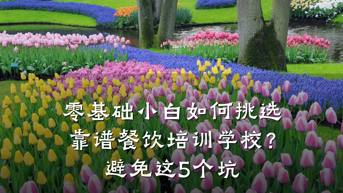 零基础小白如何挑选靠谱餐饮培训学校？避免这5个坑