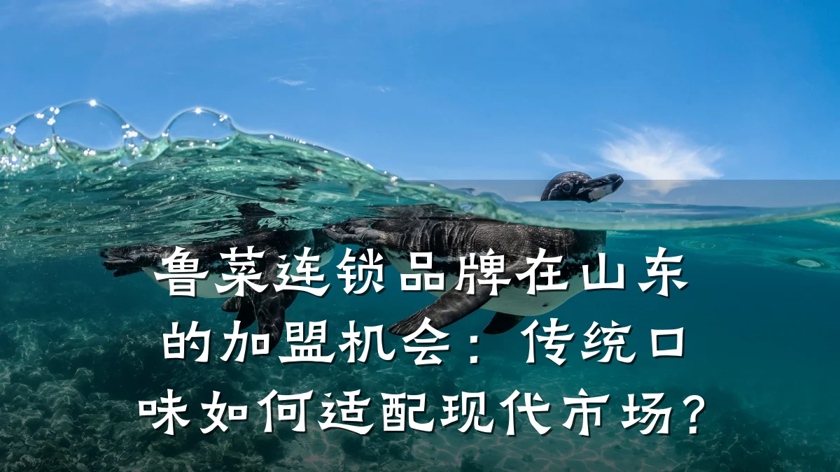 鲁菜连锁品牌在山东的加盟机会：传统口味如何适配现代市场？