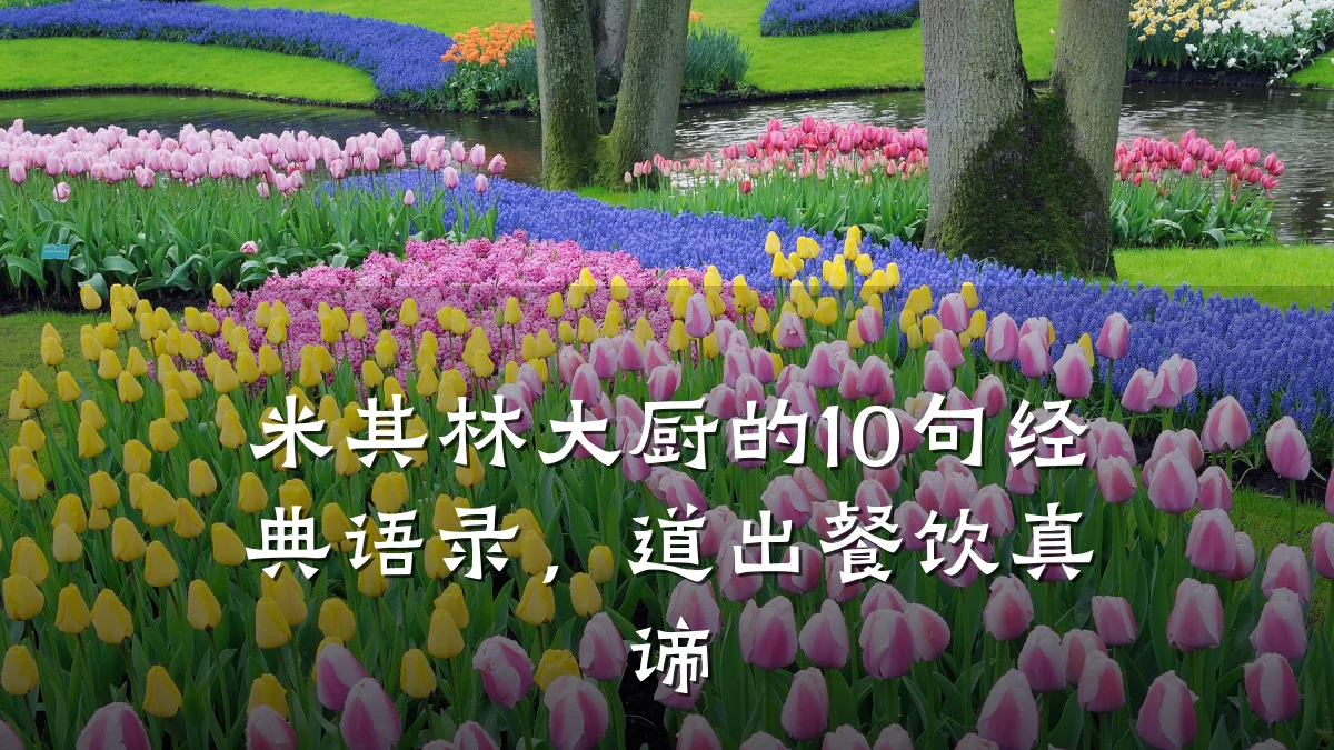 米其林大厨的10句经典语录，道出餐饮真谛