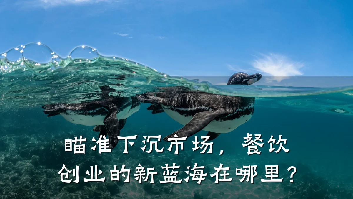 瞄准下沉市场，餐饮创业的新蓝海在哪里？