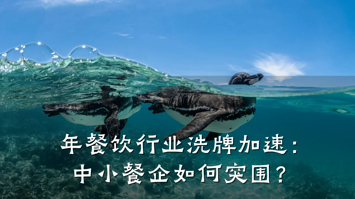 年餐饮行业洗牌加速：中小餐企如何突围？