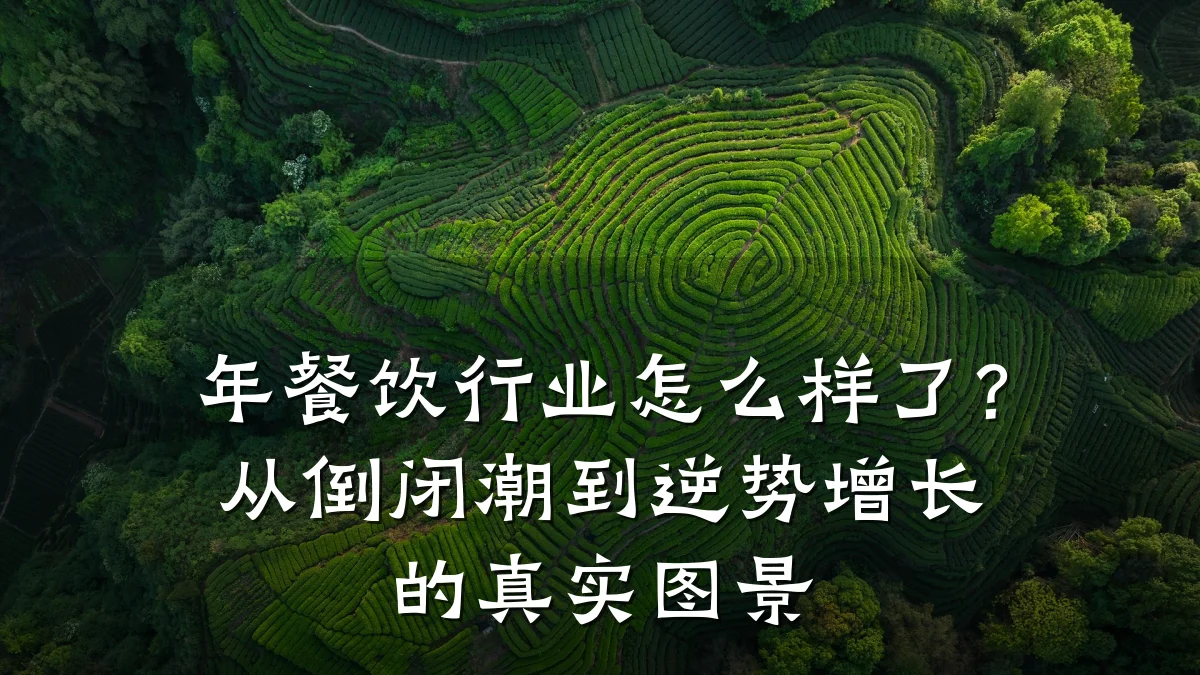 年餐饮行业怎么样了？从倒闭潮到逆势增长的真实图景