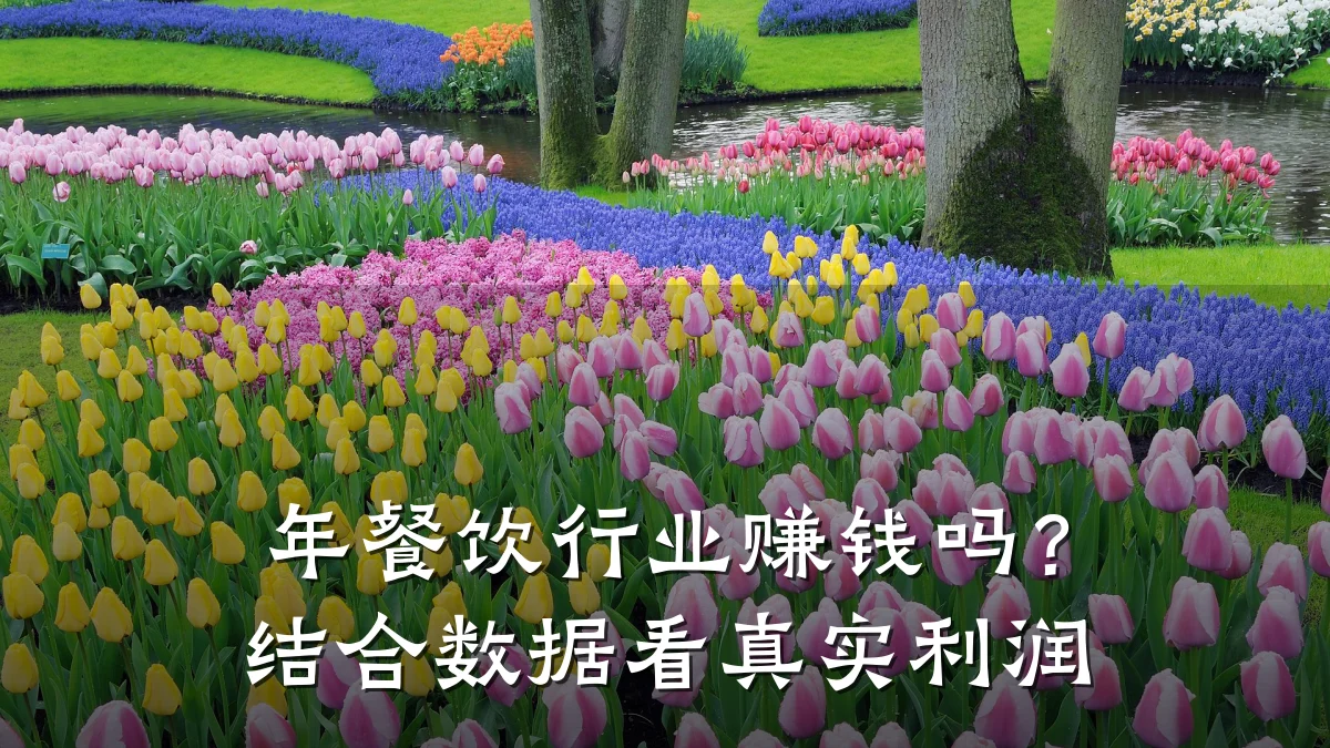 年餐饮行业赚钱吗？结合数据看真实利润