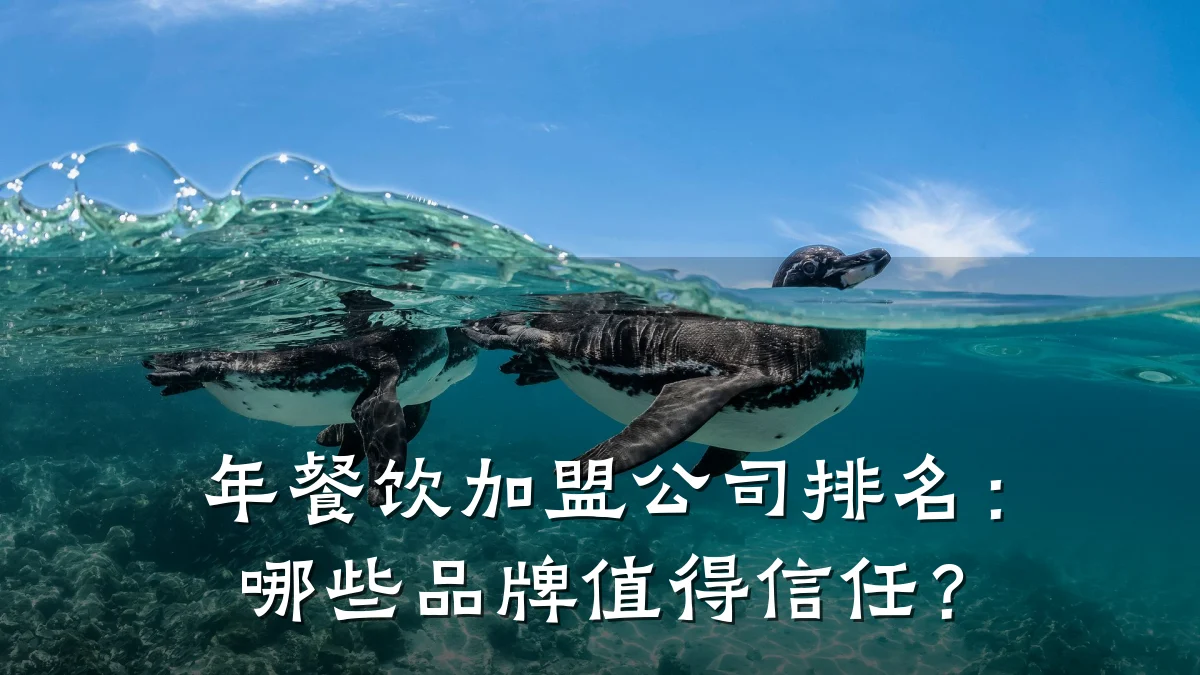 年餐饮加盟公司排名：哪些品牌值得信任？