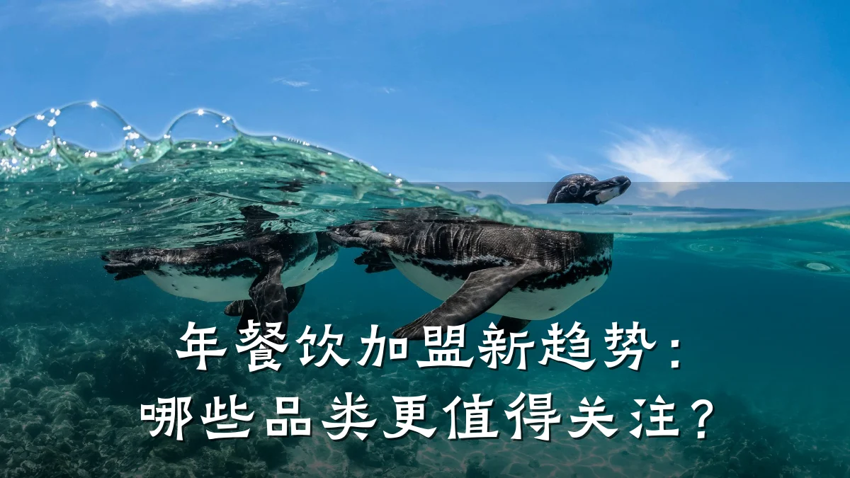 年餐饮加盟新趋势：哪些品类更值得关注？