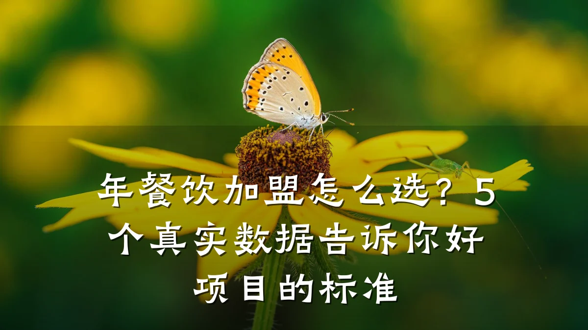 年餐饮加盟怎么选？5个真实数据告诉你好项目的标准