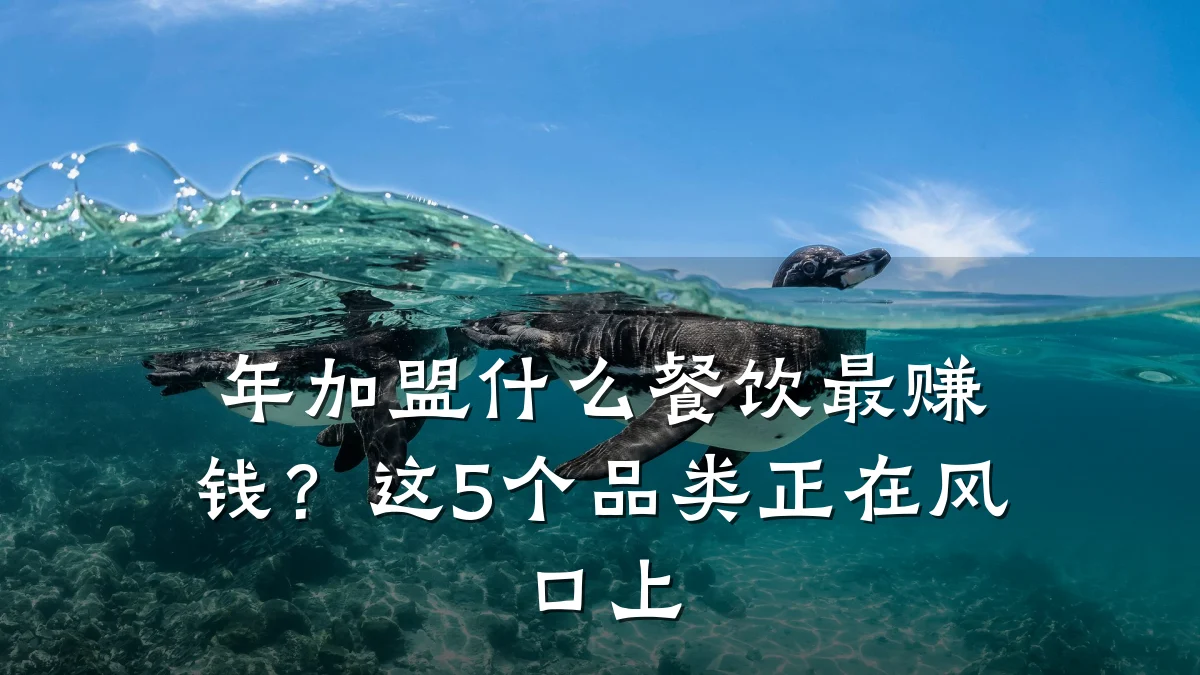 年加盟什么餐饮最赚钱？这5个品类正在风口上