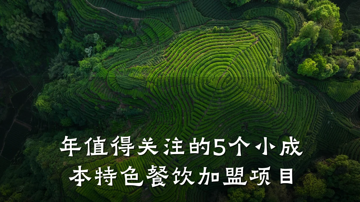 年值得关注的5个小成本特色餐饮加盟项目